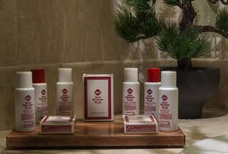 Отель Best Western Plus Expo Hotel София Представительский номер-4